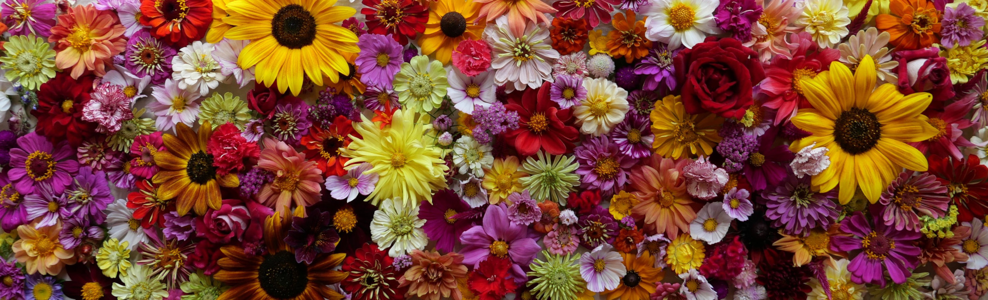 Bannière de fleurs
