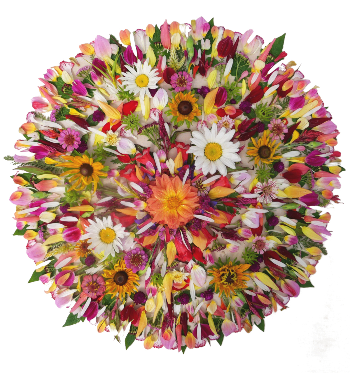 Mandala de fleurs