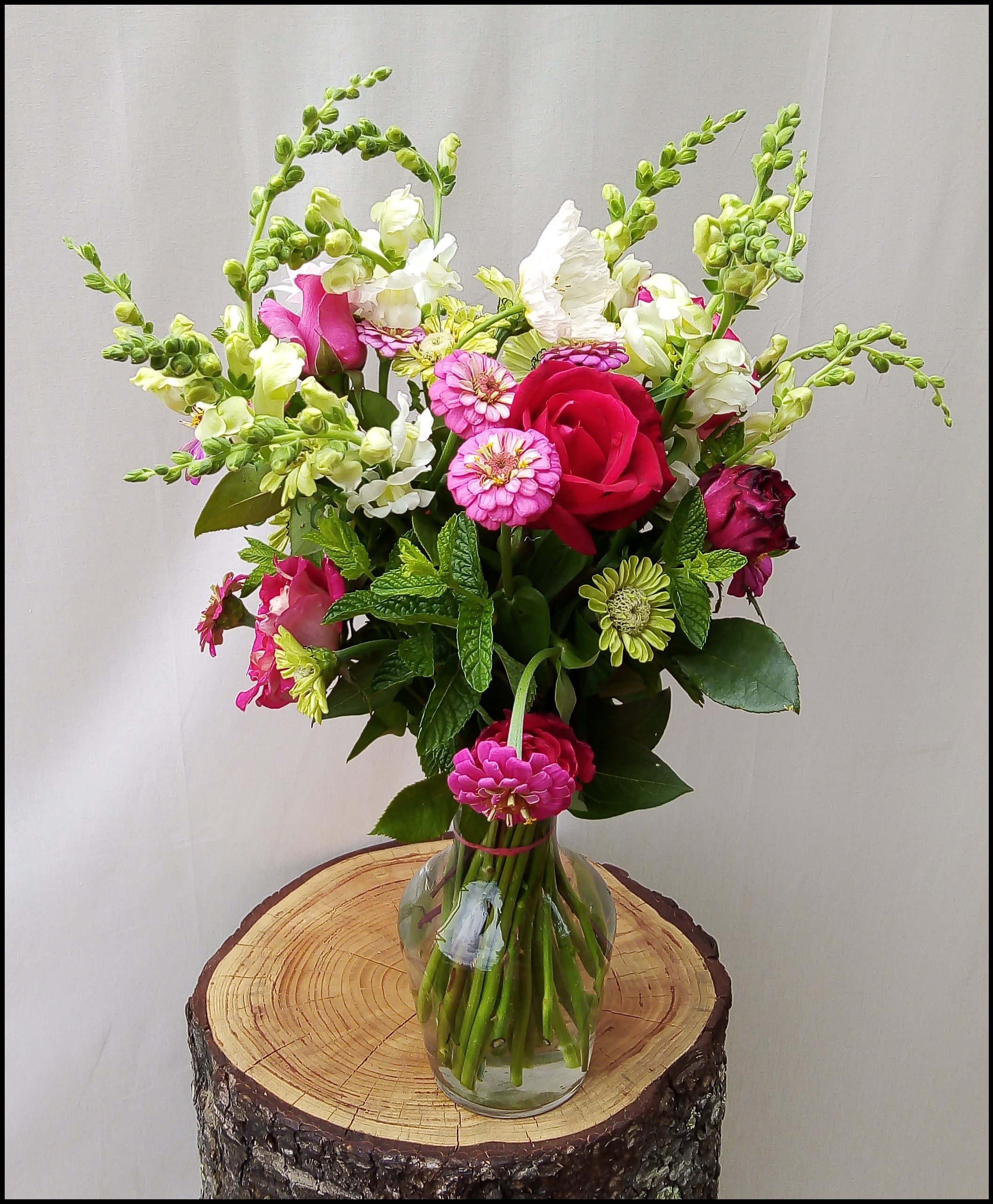 Muflier Rose Menthe Zinnia