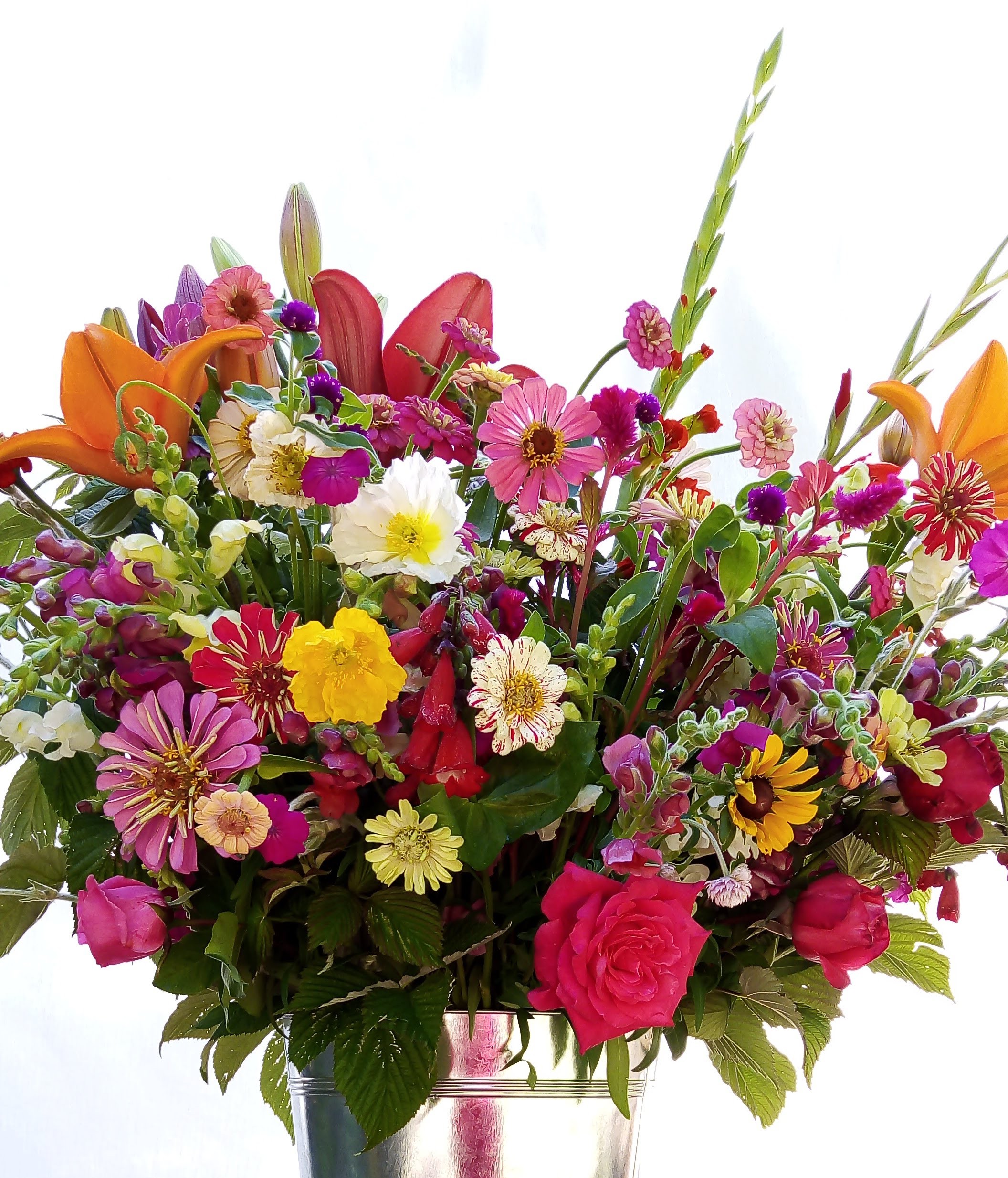 Rose Zinnia Pavot Glaieul Lys Penstemon Muflier Gomphréna Célosie Rudbeckia Coquelourde Framboisier