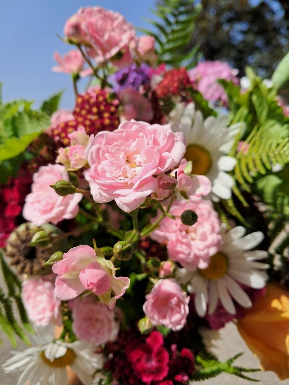 Rose Marguerite Oeillet Fougère Achillée Pavot Verveine